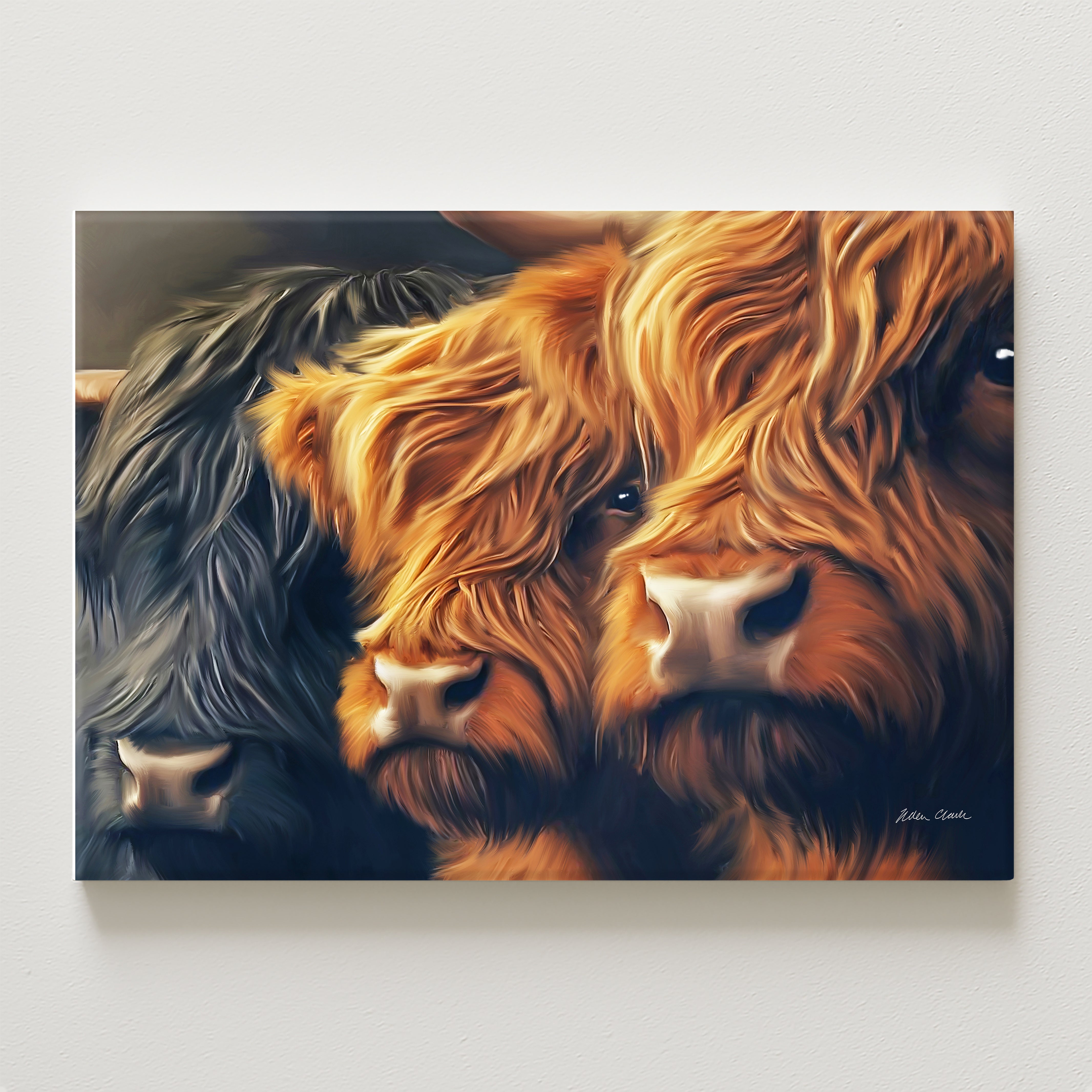 Affinity Canvas
