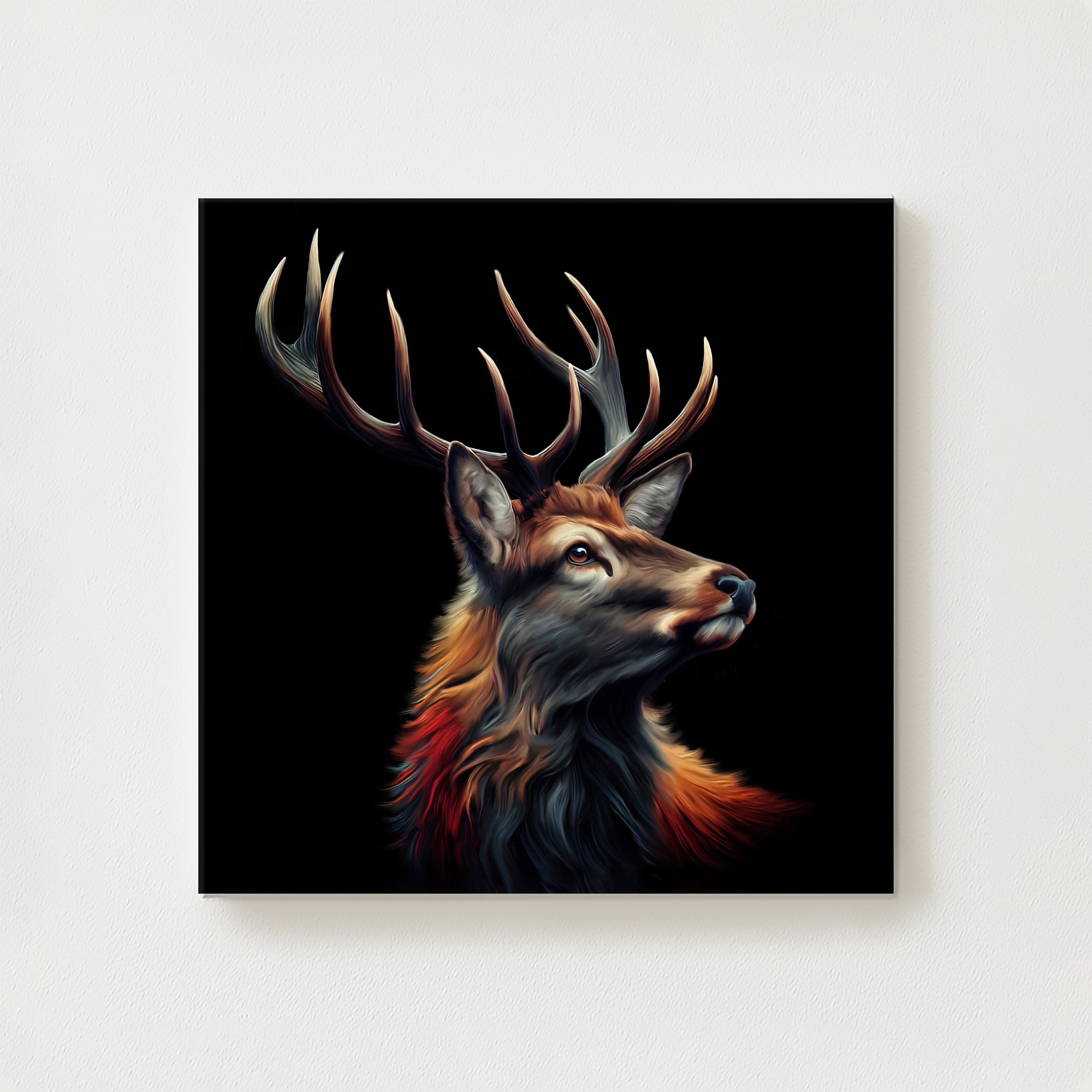 Argyll Canvas