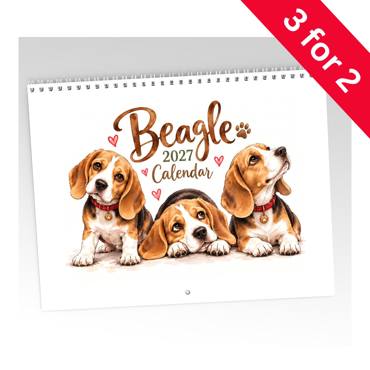 Beagle Calendar 2027 Limited Release