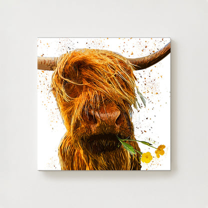 Buttercup Canvas
