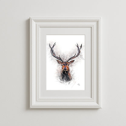 Caithness Art Print