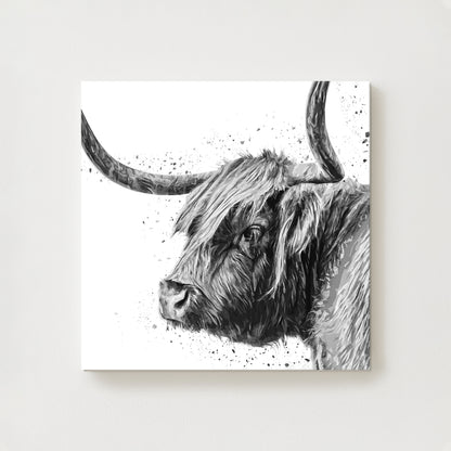Cal Canvas