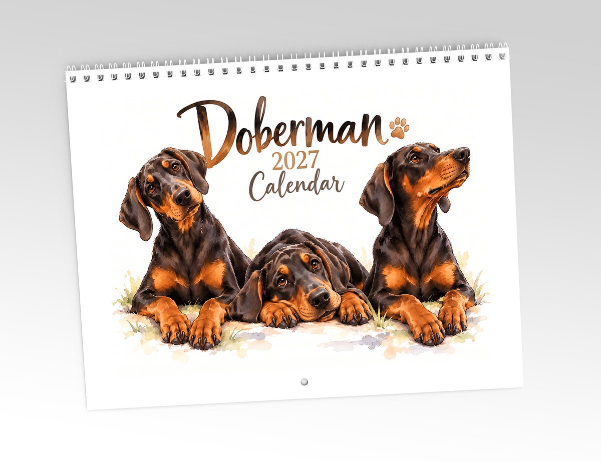 Doberman Calendar 2027 Limited Release