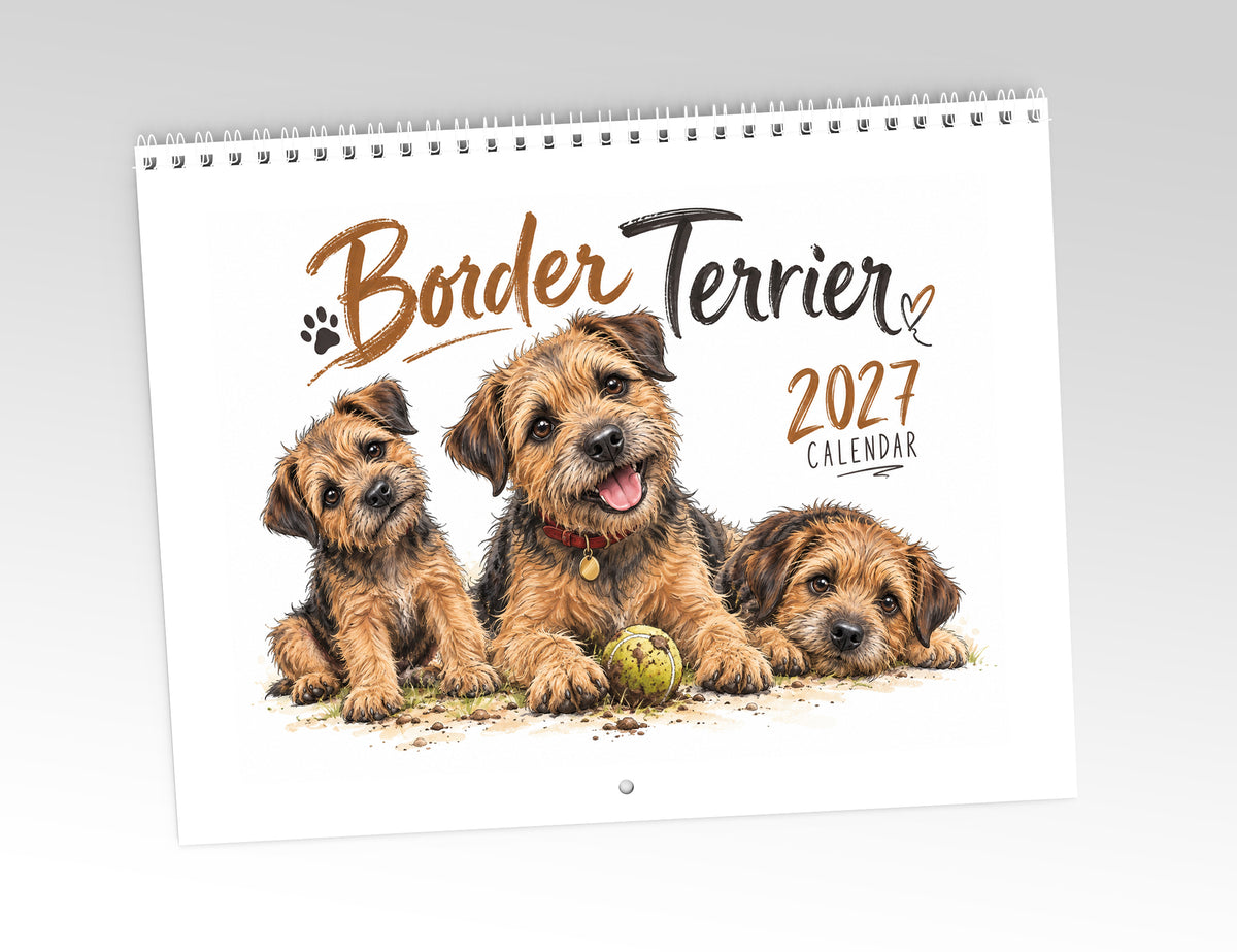 Border Terrier Calendar Limited Release