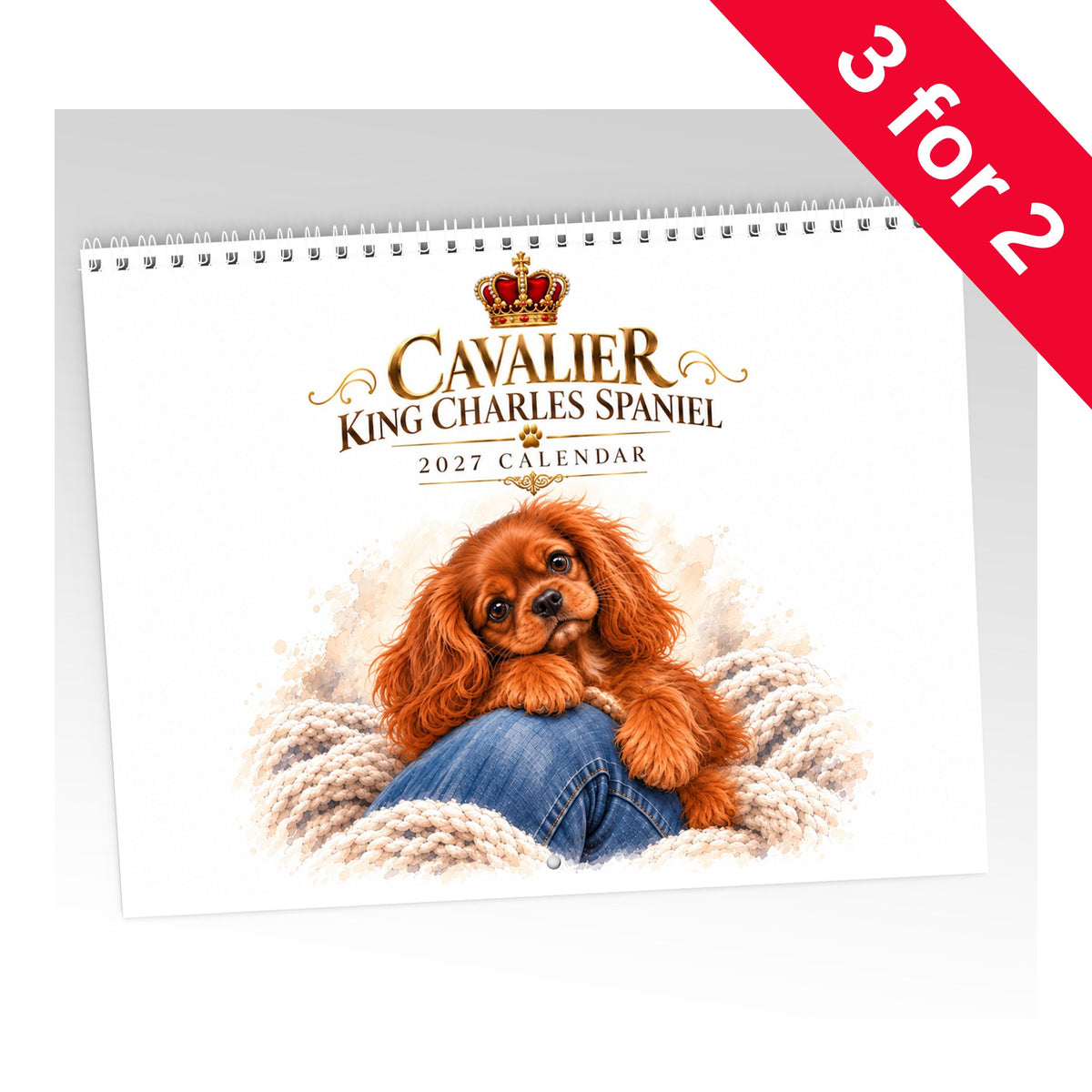 Cavalier King Charles Spaniels Calendar Limited Release