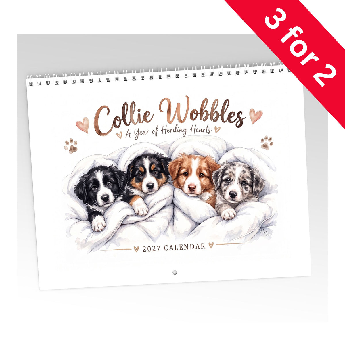 Collie Wobbles Calendar Limited Release