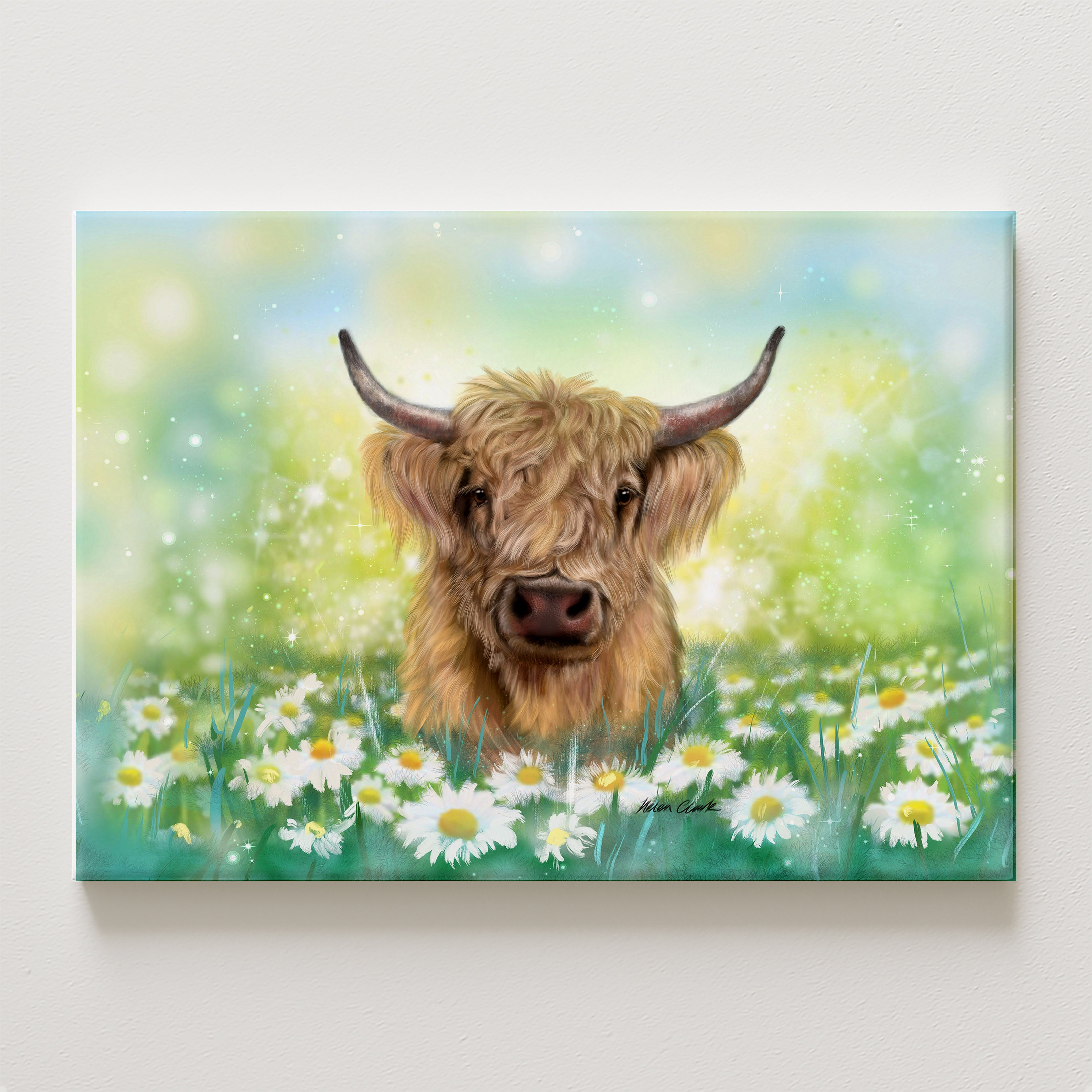 Daisy Canvas