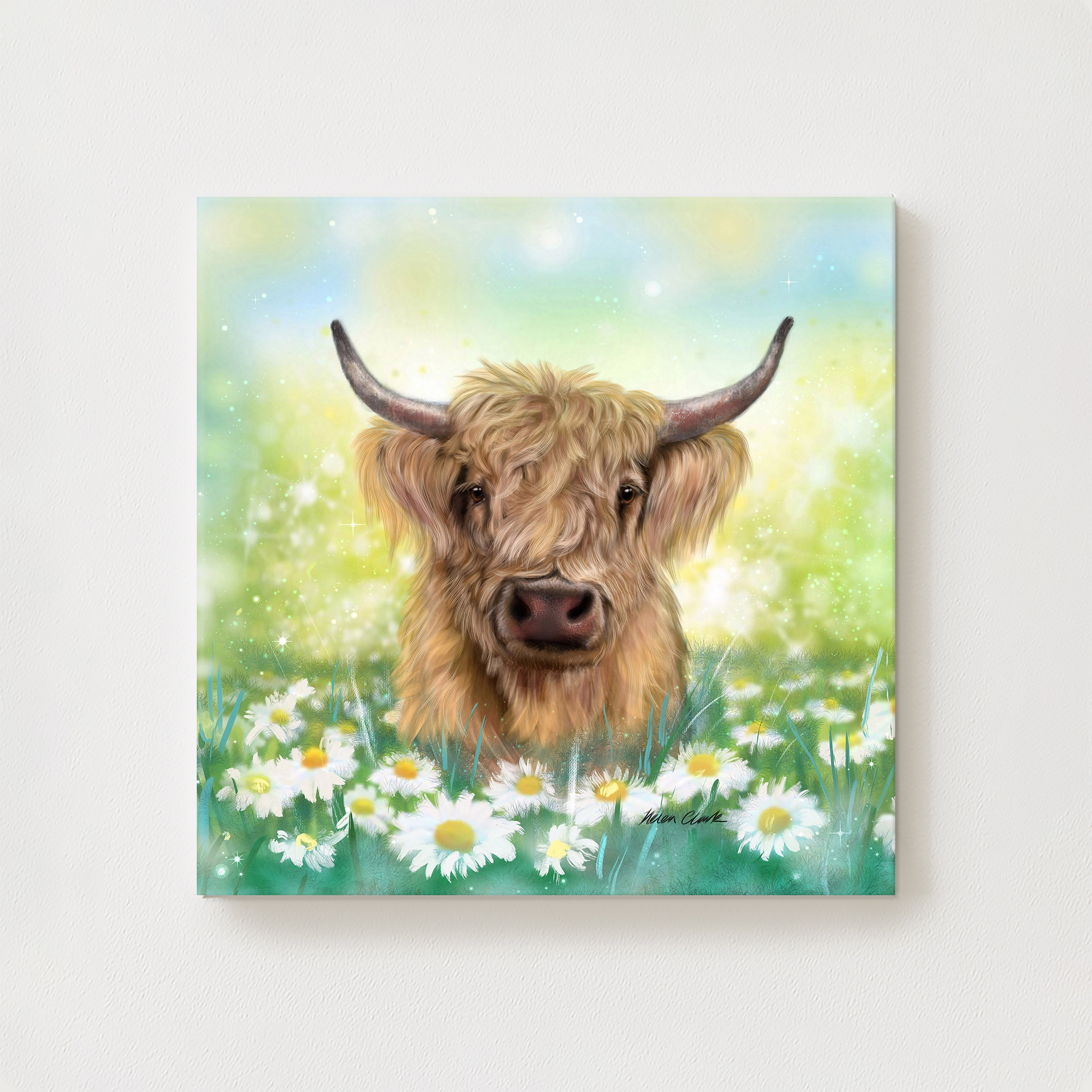 Daisy Canvas