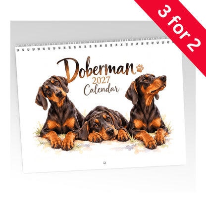 Doberman Calendar 2027 Limited Release