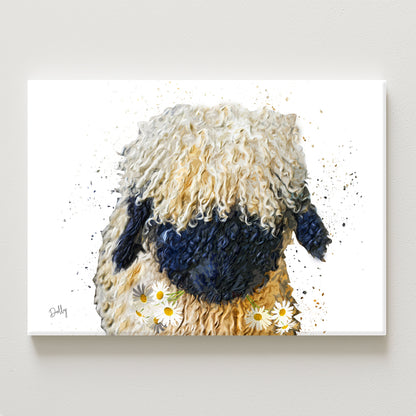 Dolly Canvas