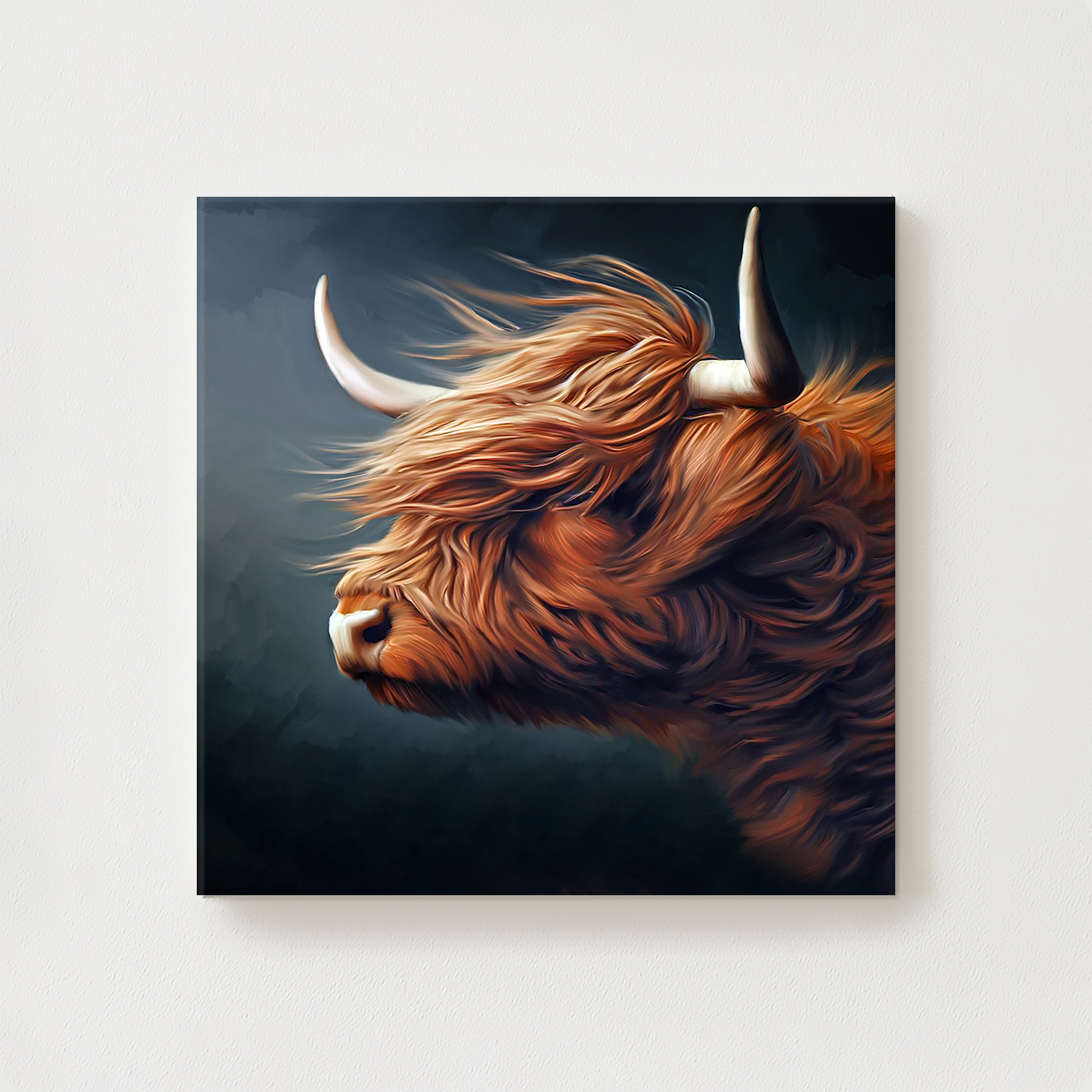 Hoolie Canvas