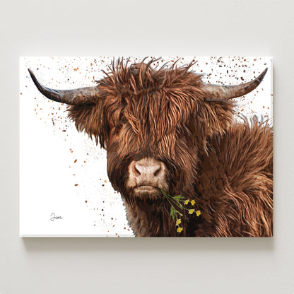 Jura Canvas