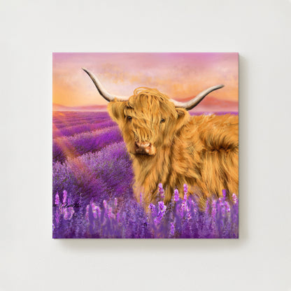 Lavender Canvas