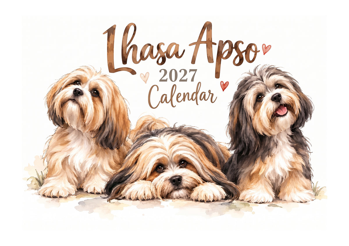 Lhasa Apso Calendar 2027 Limited Release