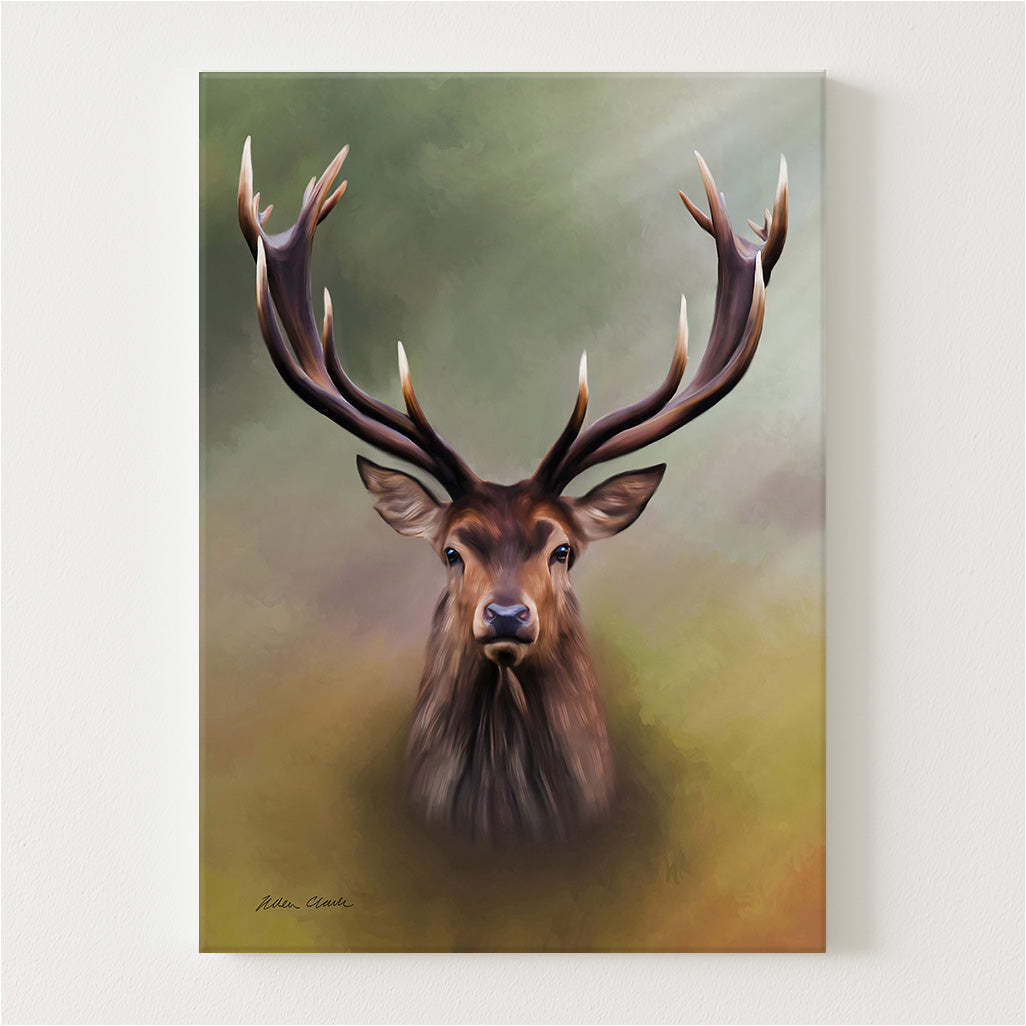 Noble Canvas