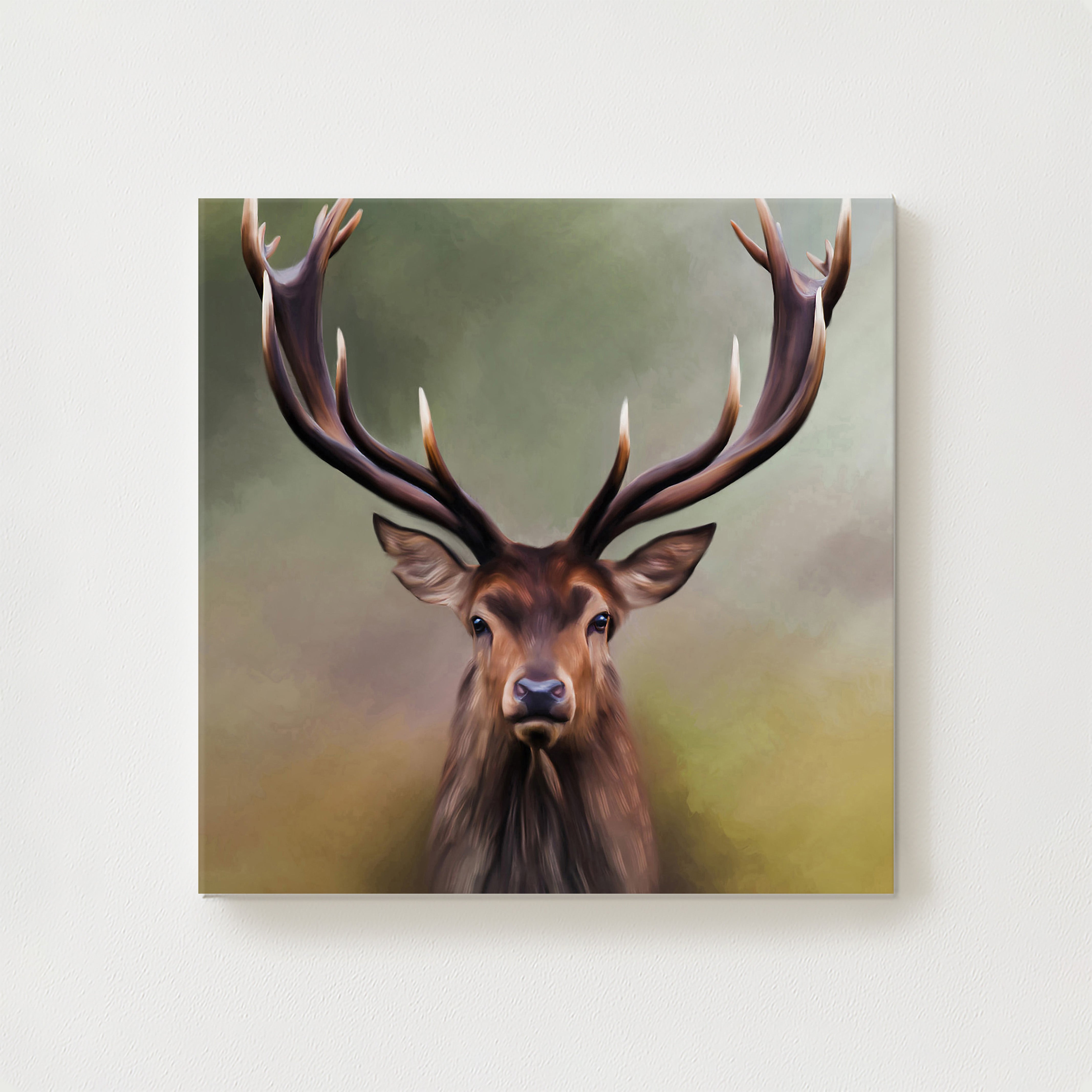 Noble Canvas