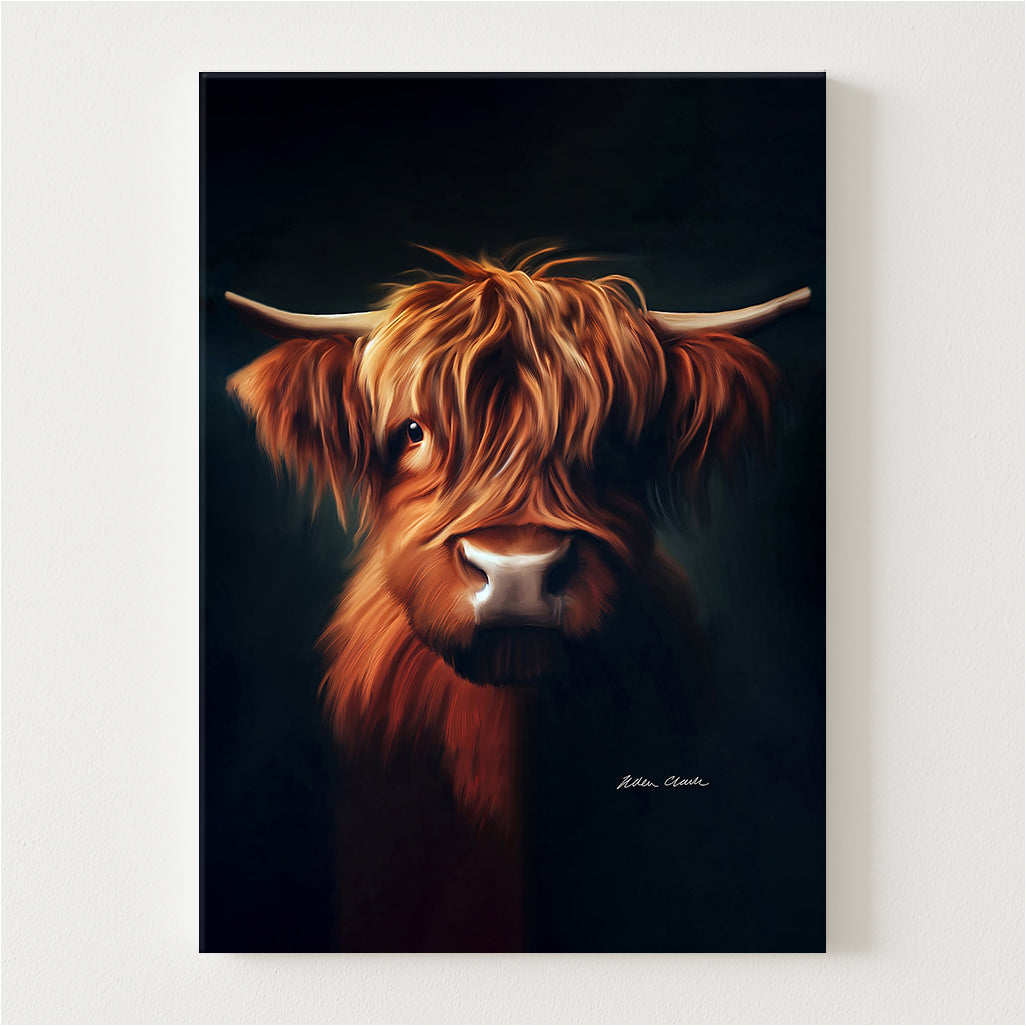 Nora Canvas