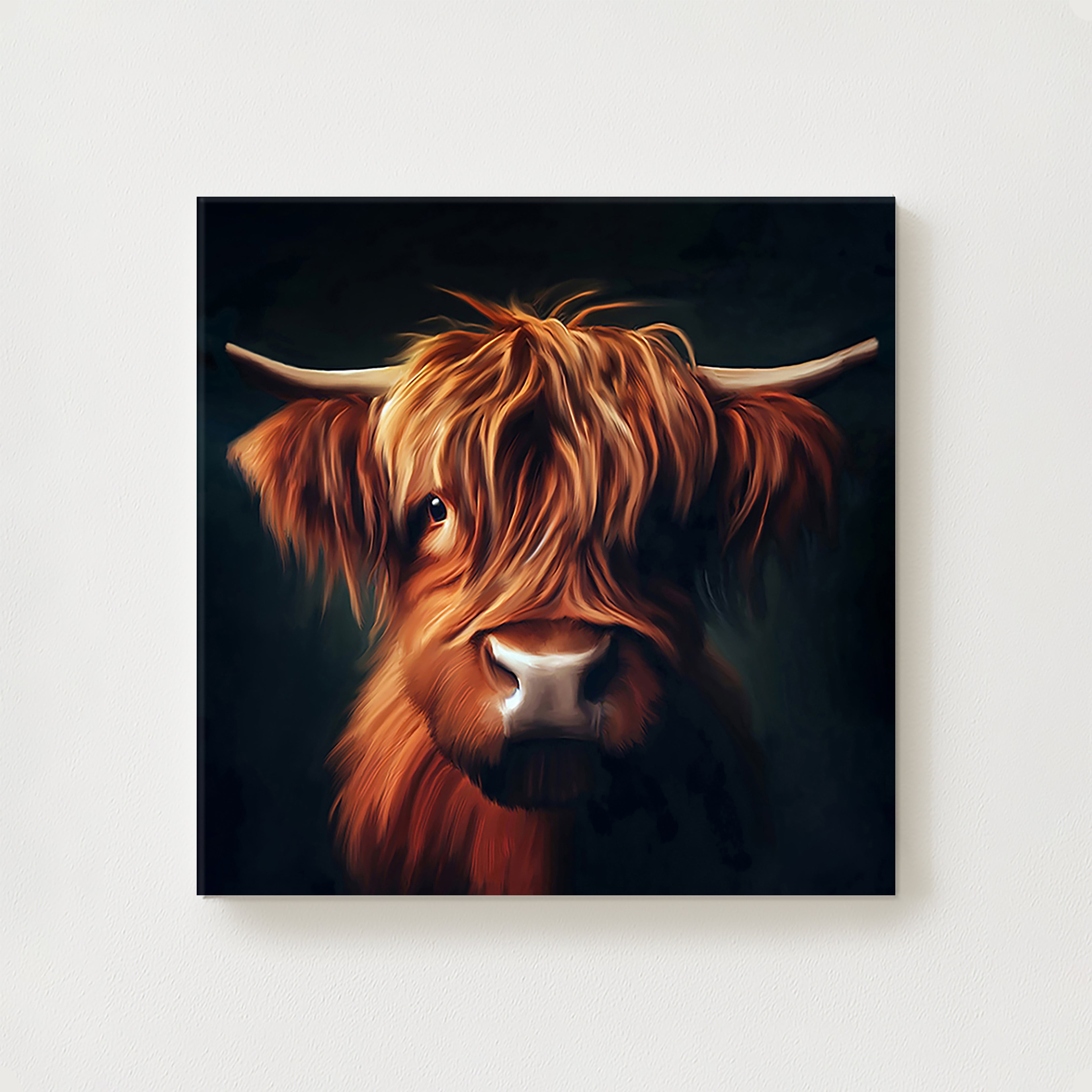 Nora Canvas