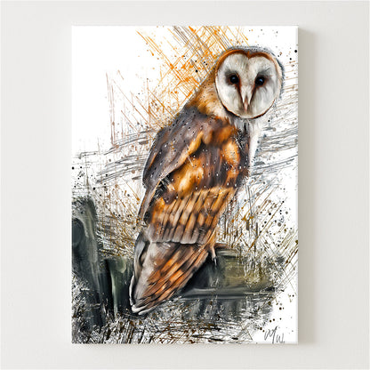 Oliver Canvas