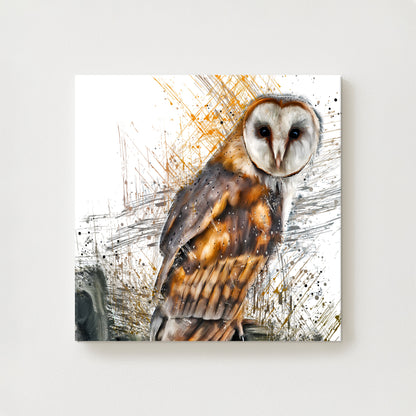 Oliver Canvas