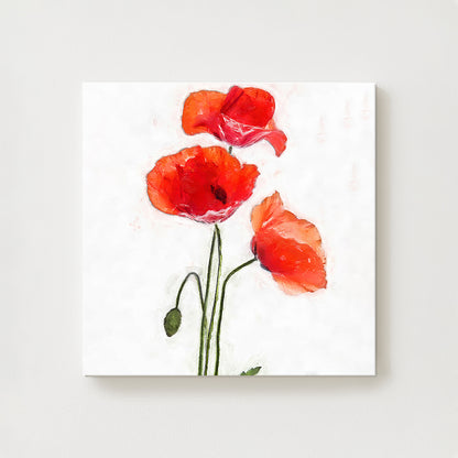 Poppy Breeze Canvas