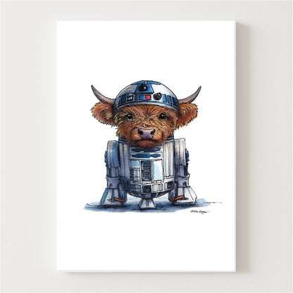 RCooDCoo Canvas