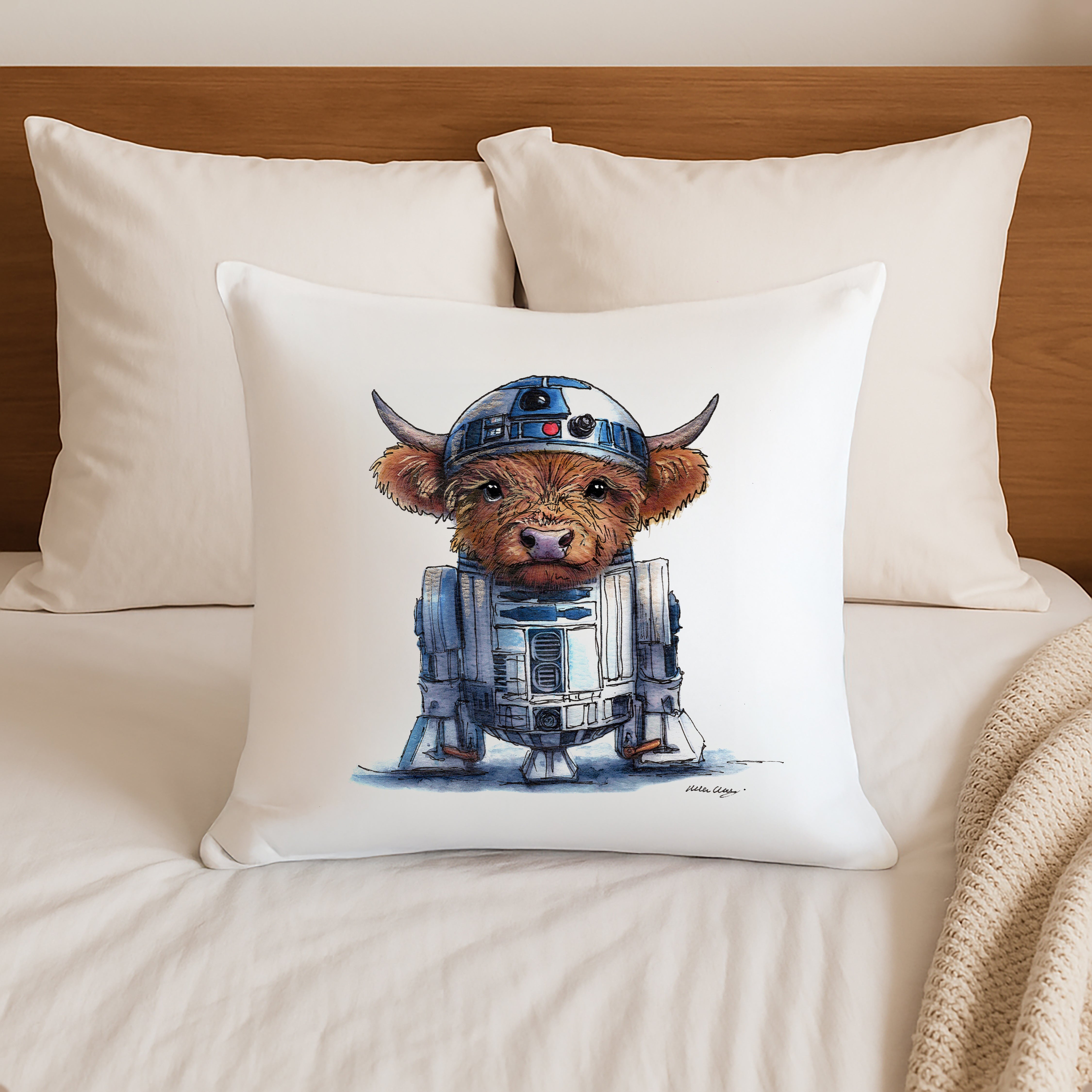 RCooDCoo Cushion