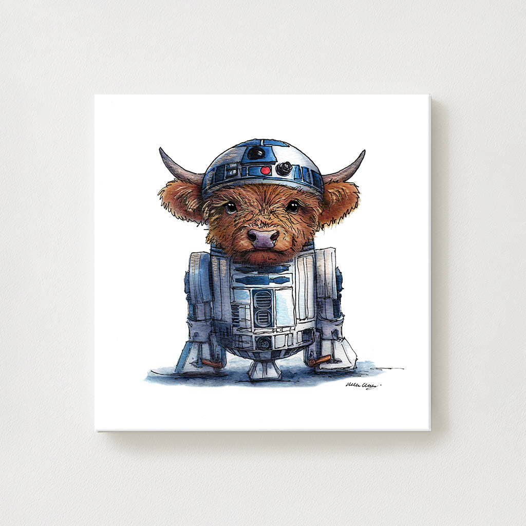 RCooDCoo Canvas
