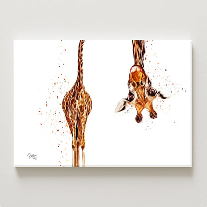 Raffy Canvas