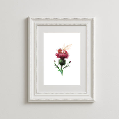 Sleepy Thistle Art Print