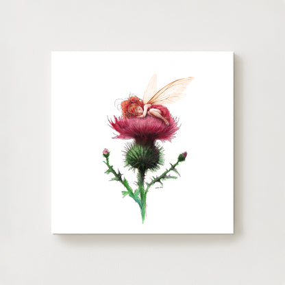 Sleepy Thistle Canvas