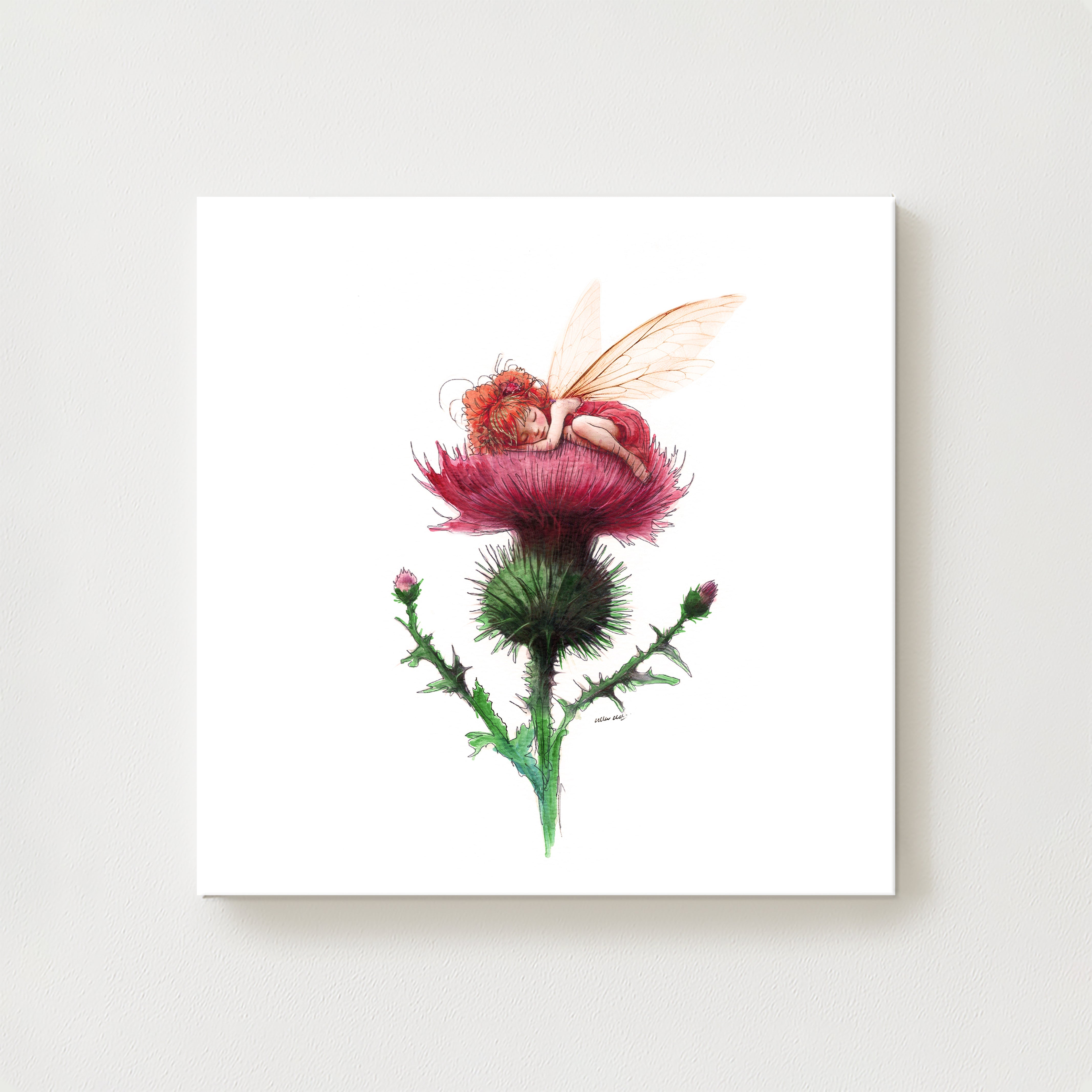 Sleepy Thistle Canvas