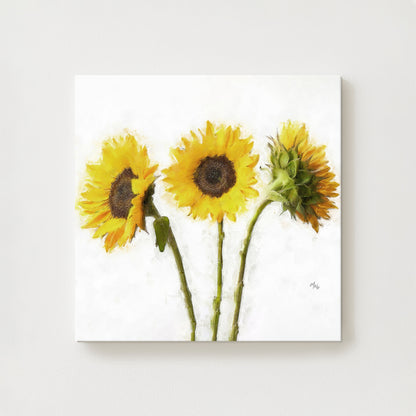 Sunflower Trio Canvas