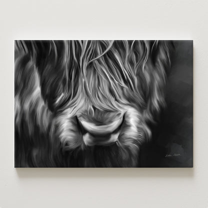 Velvet Canvas