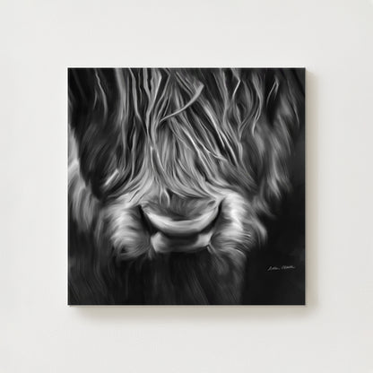 Velvet Canvas