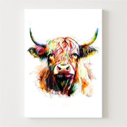 Colours Canvas