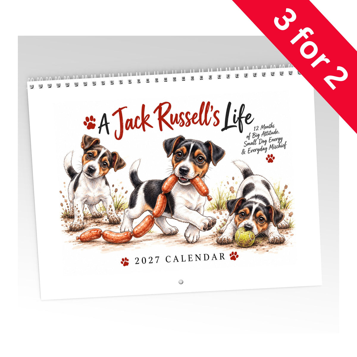A Jack Rusell's Life Calendar Limited Release