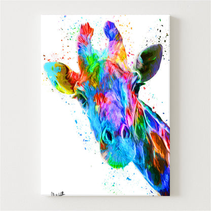 Rainbow Canvas