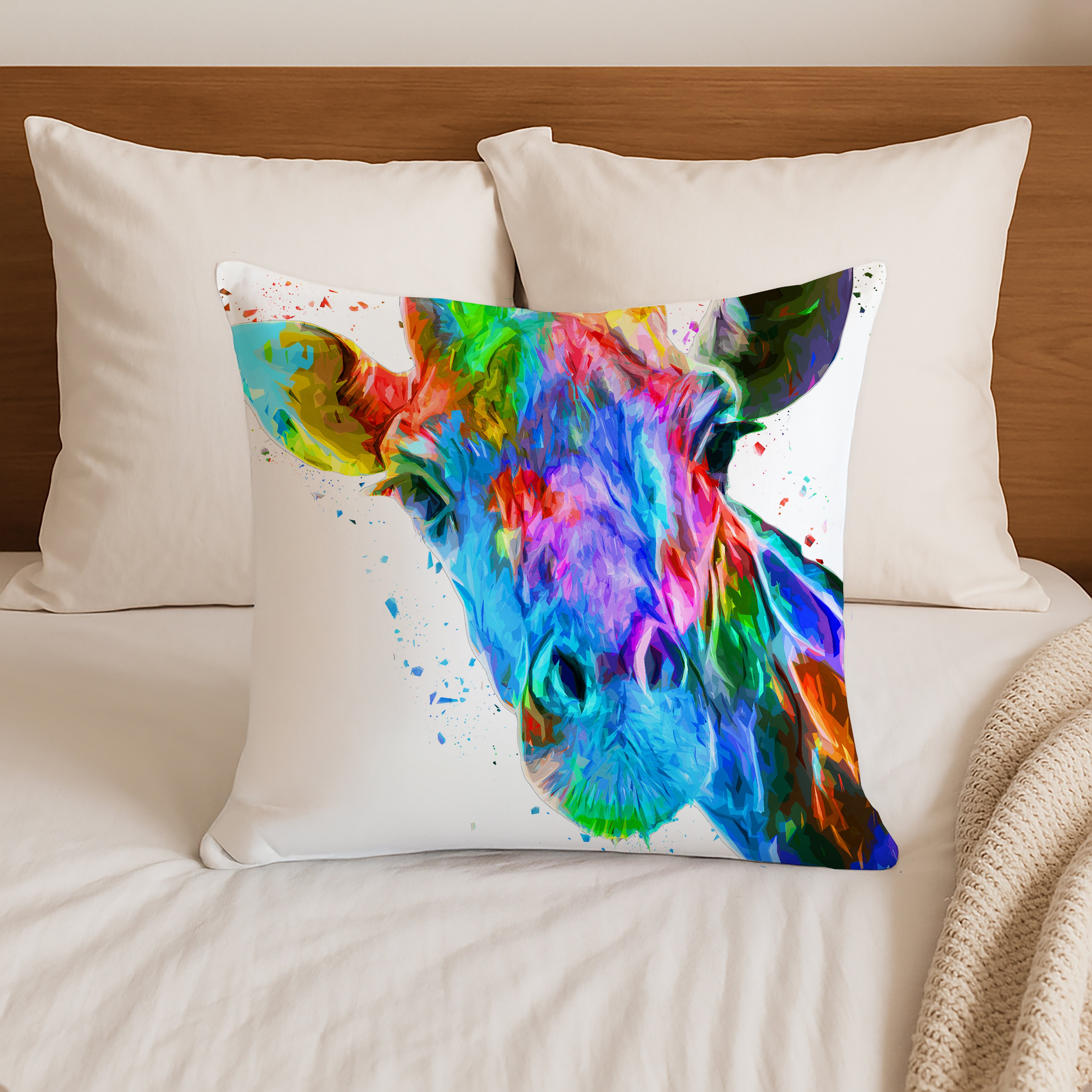 Rainbow Cushion